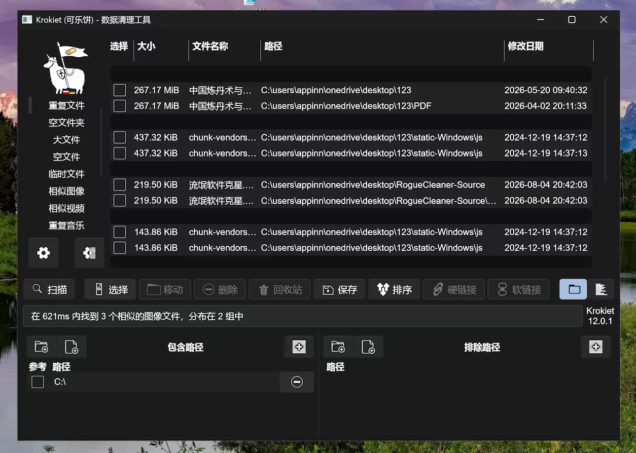 Krokiet 重复文件扫描结果